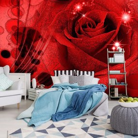 Fototapet - Trandafir roșu (254x184 cm), în 8 de alte dimensiuni noi