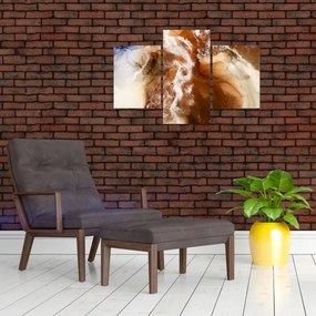 Tablou - Marmură abstract (90x60 cm)