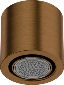 🚿 SILIA – Pălărie de duș fixă, 1-funcție, finisaj Bronz periat (NQS_C30K) 🛁