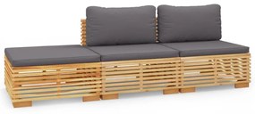 3100904 vidaXL Set mobilier grădină cu perne, 3 piese, lemn masiv de tec