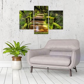 Tablou cu scări într-o pădure tropicală (90x60 cm)
