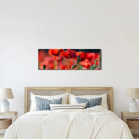 Tablou - flori de maci (cu ceas) (90x30 cm)