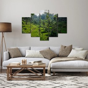 Tablou cu terasele cu orez Tegalalang, Bali (150x105 cm)