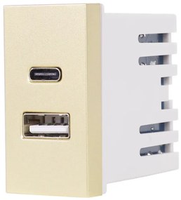Modul Priza USB A+C 1M LUXION, Standard Italian