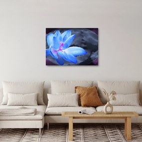 Tablou florilor în detailu (70x50 cm)