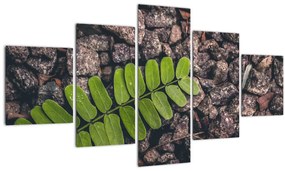 Tablou  cu planta verde (125x70 cm), în 40 de alte dimensiuni noi