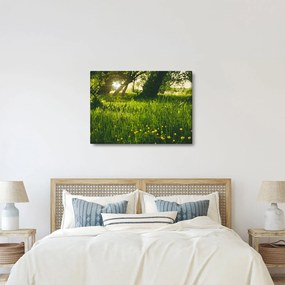 Tablou cu natura - lunca (70x50 cm)