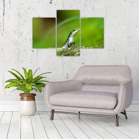 Tablou cu șopârlă (90x60 cm)