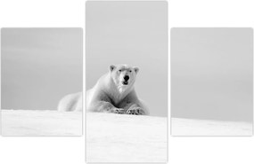 Tablou - Urs polar,alb-negru (90x60 cm)