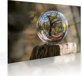 Tablou pe sticlă - Reflecție intr-o sferă transparentă (70x50 cm)