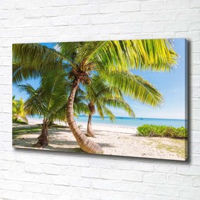 Pictură pe pânză Plaja tropicala