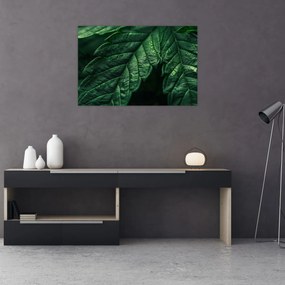 Tablou - Detaliu al foii (90x60 cm)