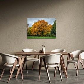 Tablou pe sticlă cu copac (70x50 cm)