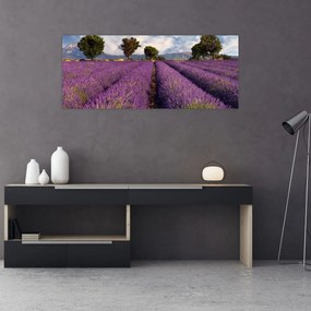 Tablou - câmp de lavandă și munți (120x50 cm)