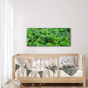 Tablou - Aloe (120x50 cm)