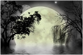 Tablou - Lună plină deasupra apei (90x60 cm)