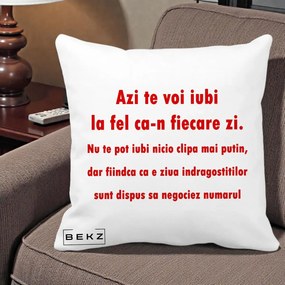 Cadou pentru Iubita - Perna Personalizata Azi Te Voi Iubi, 40x40 cm, Alba Mata, Husa Detasabila, Perna Inclusa, BEKZ®