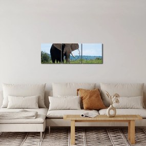Tablou cu elefant (cu ceas) (90x30 cm)