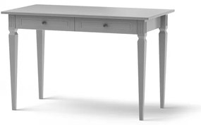 Birou pentru copii Ines gri L120 cm