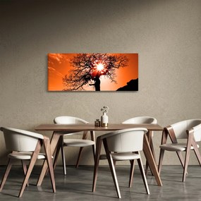 Tablou - Fag la apus de soare (120x50 cm)