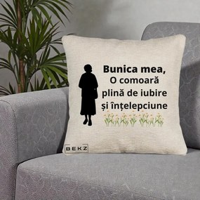 Cadou pentru Bunica - Perna Personalizata Bunica Mea Comoara Iubire Intelepciune Silueta cu Nepoata, 40x40 cm, Bej Canapea, Husa Detasabila, Perna Inclusa, BEKZ®