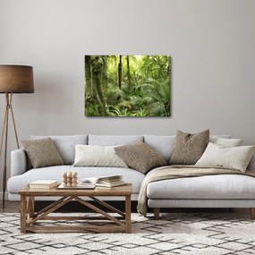 Tablou - Pădure tropicală (70x50 cm)