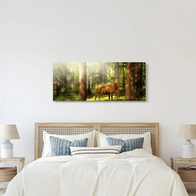 Tablou cu cerbul în pădure (120x50 cm)