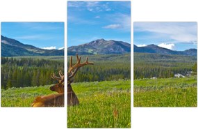 Tablou - Cerb în luncă (90x60 cm)