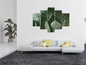 Tablou - Agave verde (150x105 cm)