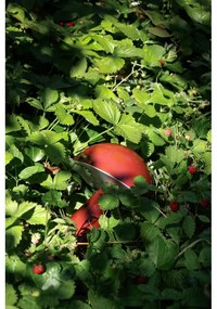 Veioză roșie LED cu intensitate reglabilă (înălțime 20 cm) Mush – Hübsch