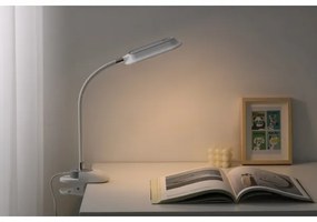 Immax 08997L - Lampă de birou LED+CCT reglabilă cu clemă CLIP 7,5W/230V albă