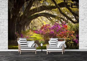 Fototapet. Plantatie de magnolii din Carolina de Sud Art.01396