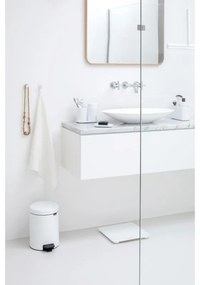 Set 2 agatatoare prosoape Brabantia ReNew 1003486, Kit de montare inclus, Pana la 2 kg, Alb