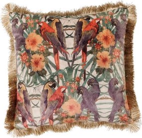 Perna decorativa, Parrot
