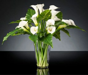 Aranjament floral mediu design LUX FAZZOLETTO CALLA