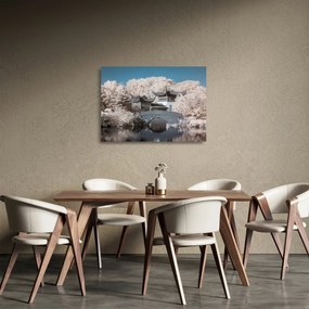 Tablou pe sticlă - pomi înfloriți în Asia (70x50 cm)