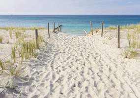 Fototapet - Plaja și priveliște spre mare (254x184 cm)