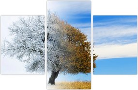 Tablou - Schimbarea anotimpurilor (90x60 cm)