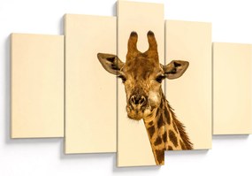 Tablou cu girafe (150x105 cm)