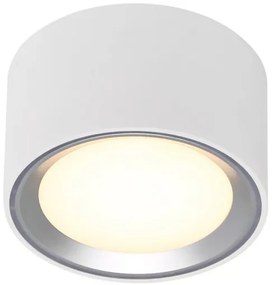 Plafonieră LED dimabilă Nordlux FALLON LED/5,5W/230V 2700K