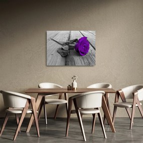 Tablou pe sticlă - Trandafir violet cu tulpina verde (70x50 cm)