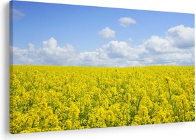 Tablou - Câmp galben (90x60 cm)