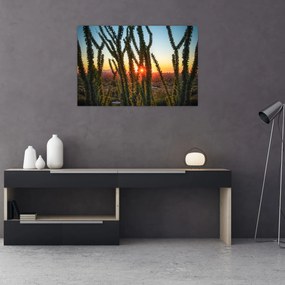 Tablou - Plante (90x60 cm)