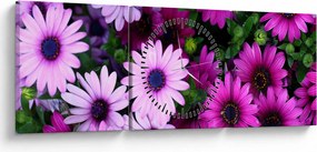 Tablou - Flori (cu ceas) (90x30 cm)