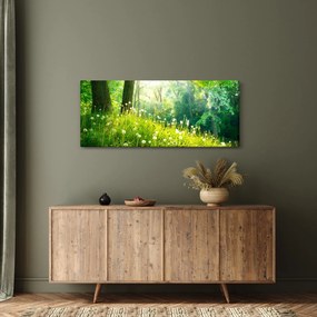 Tablou - Pajiște magică plină de păpădii (120x50 cm)