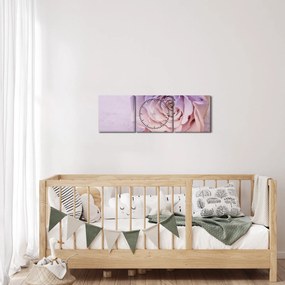 Tablou detaliu florii de trandafir (cu ceas) (90x30 cm)