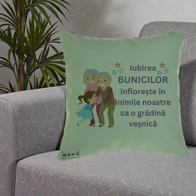 Cadou pentru Bunici - Perna Personalizata Bunicii Iubirea Infloreste Bunici cu Nepoata Colorat, 40x40 cm, Verde, Husa Detasabila, Perna Inclusa, BEKZ®