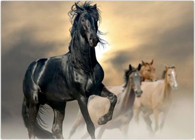 Tablou - Cai (70x50 cm)