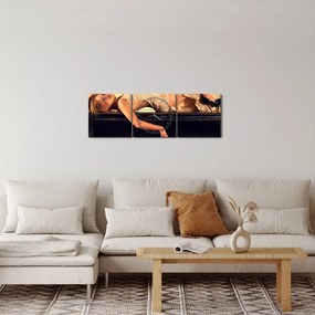 Tablou - Femeia și pian (cu ceas) (90x30 cm)