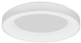 Plafoniera LED 3000K moderna 60cm RANDO THIN alba NVL-9353852